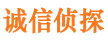 施秉市调查公司